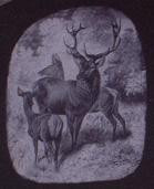 Detail of engraving on headstone